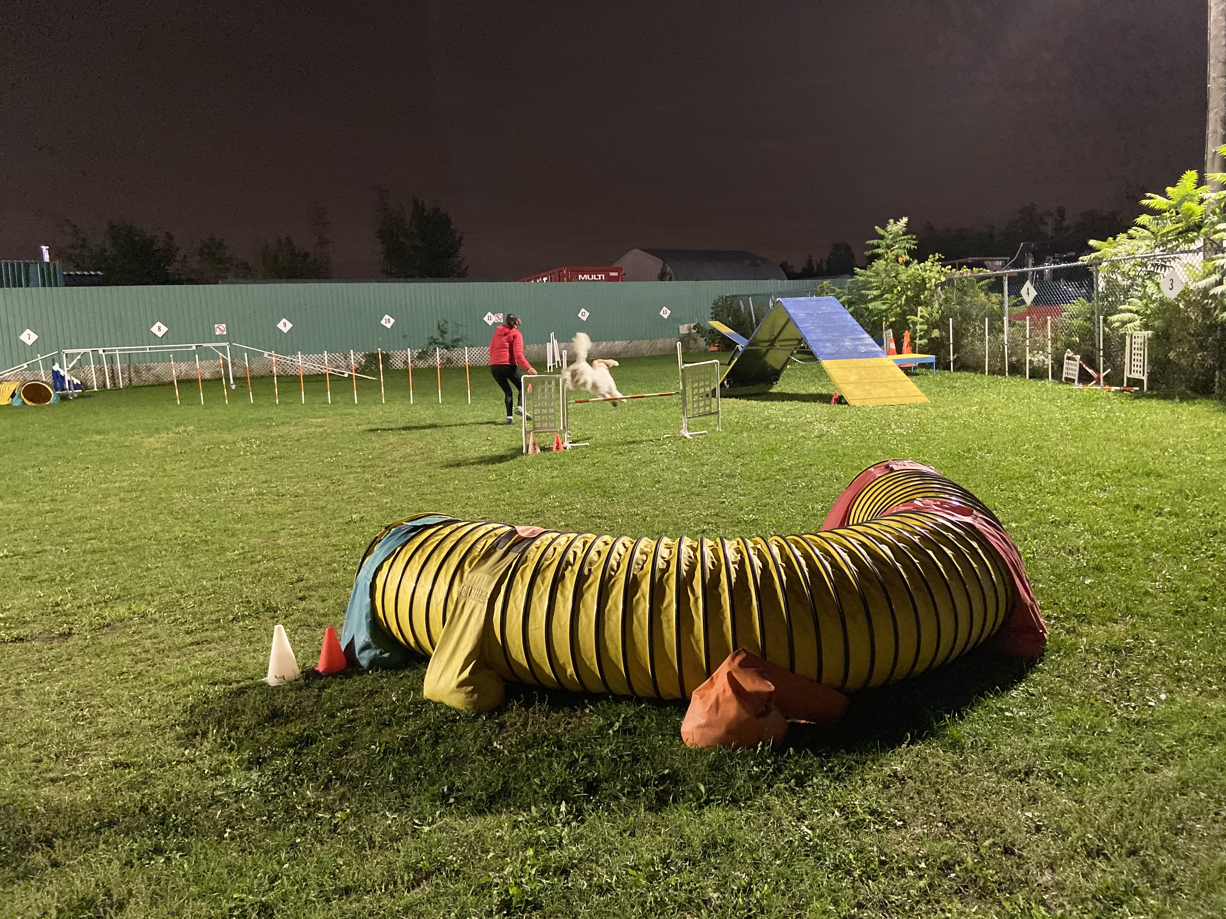 Terrain extérieur de nuit Club Canin Chemedey